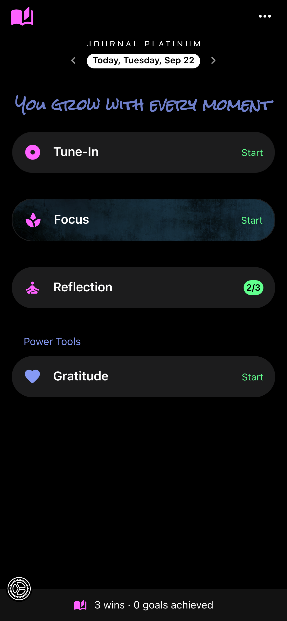 Journal Platinum, a user's evening reflection